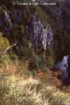 timavo2.jpg (28707 byte)